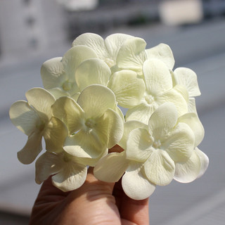 1 HỘP HOA SÁP TÚ CẦU