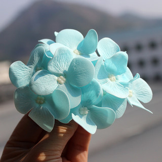1 HỘP HOA SÁP TÚ CẦU