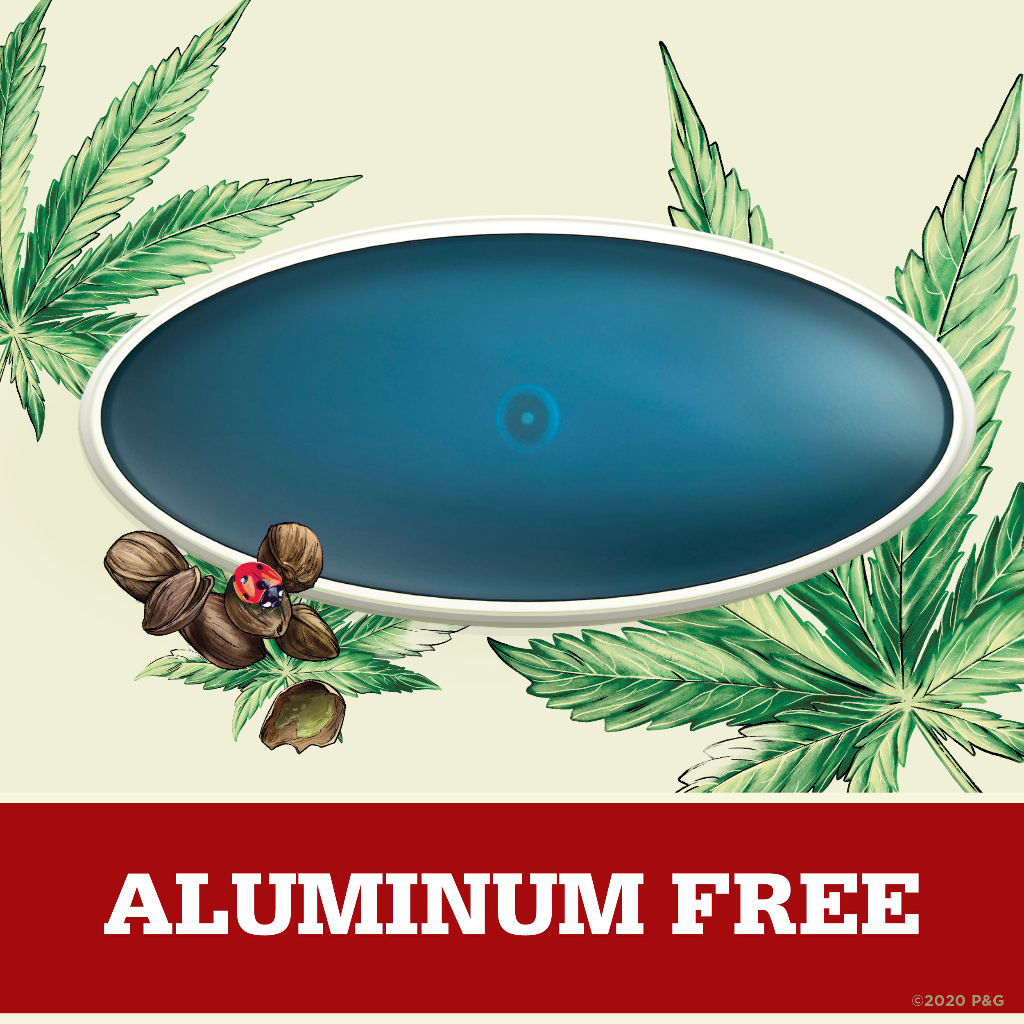 Lăn Khử Mùi Old Spice Alpine 85G  - HKT Shop