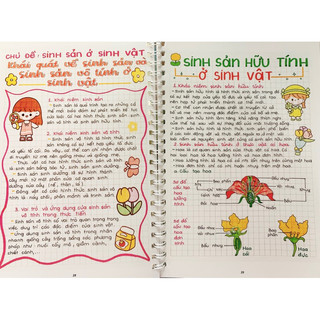 Combo 3 sổ tay LÝ + HOÁ + SINH THCS (6-9) khổ giấy A5