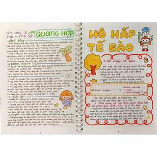 Combo 3 sổ tay LÝ + HOÁ + SINH THCS (6-9) khổ giấy A5