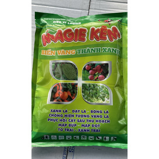 Phân bón lá Magie Kẽm biến vàng thành xanh gói 1 Kg