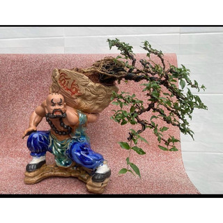 Chậu tượng Lỗ Chí Thâm, chậu tượng La Hán vác đá Tài Lộc men xanh cực chất (ảnh thật tự chụp)