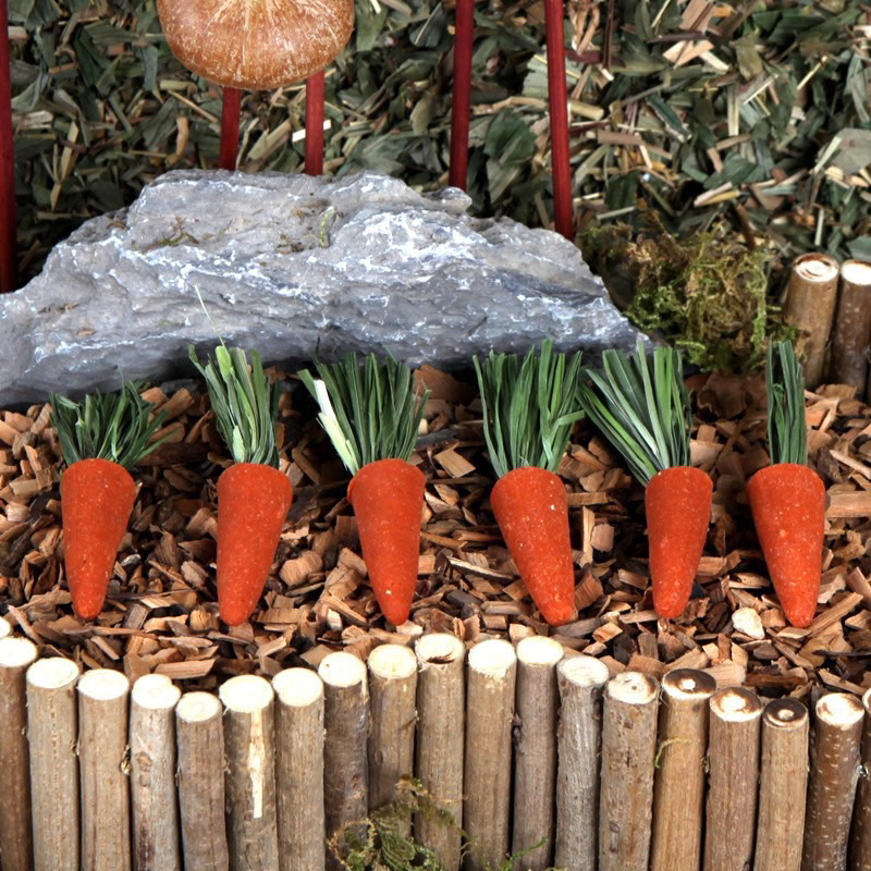 6 Cà rốt mài răng