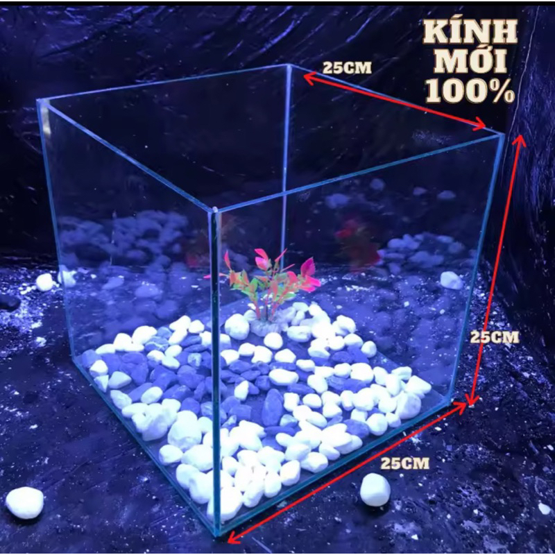 bể cá 25x25x25 kính 5li
