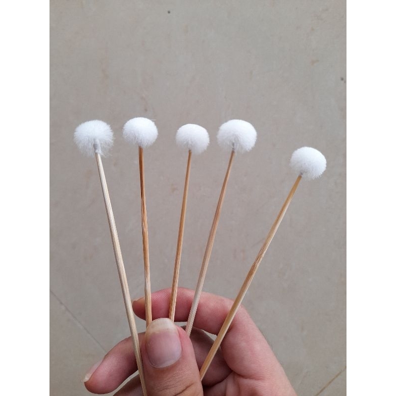 Bó 10 cây bông se tai Size TRUNG