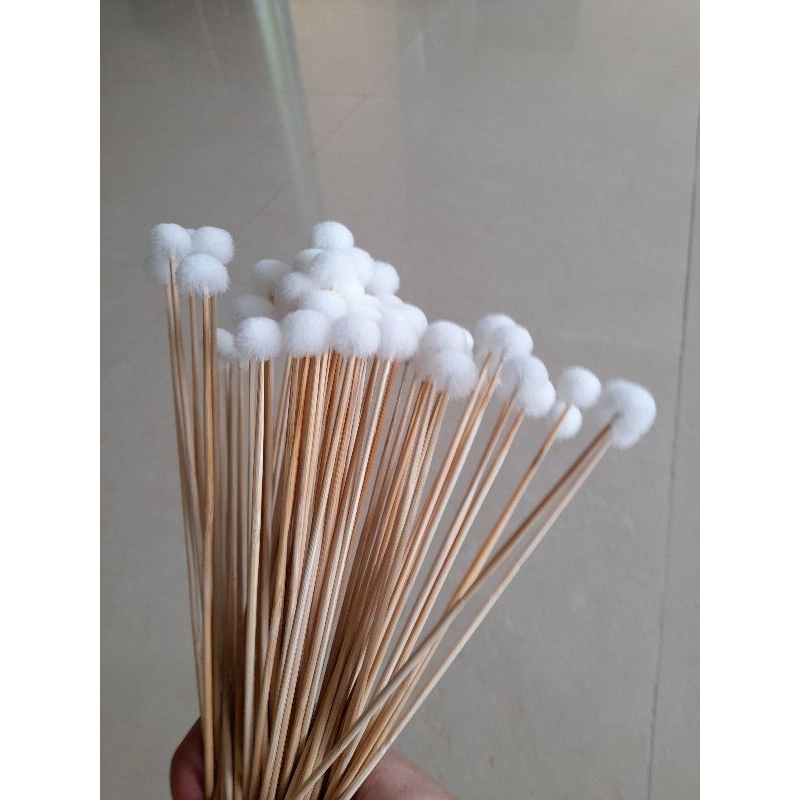 Bó 10 cây bông se tai Size TRUNG