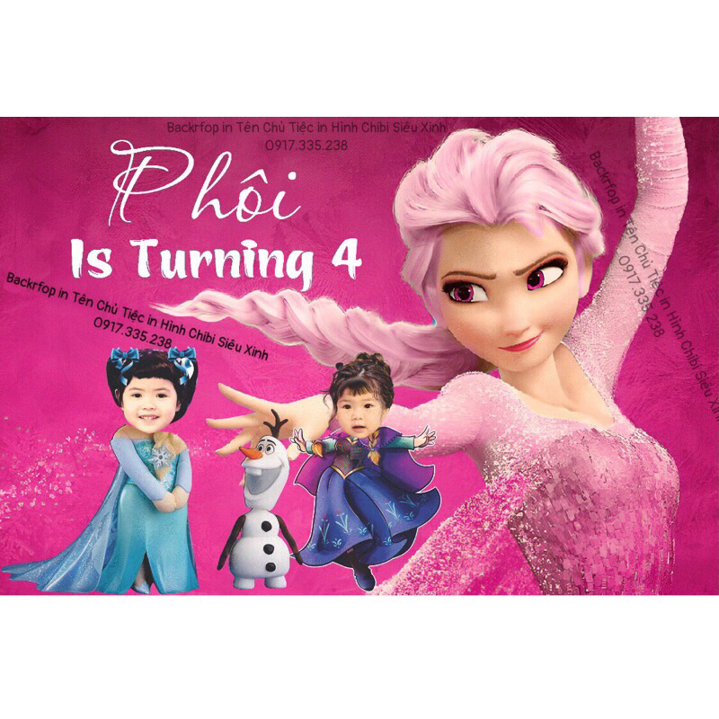 Set Bóng Công chúa Elsa Cả Bộ Backdrop