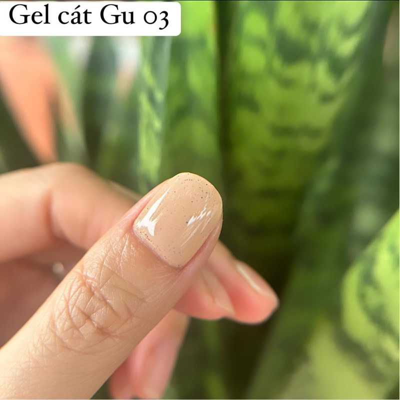 Sơn cát Gulauri mã 03
