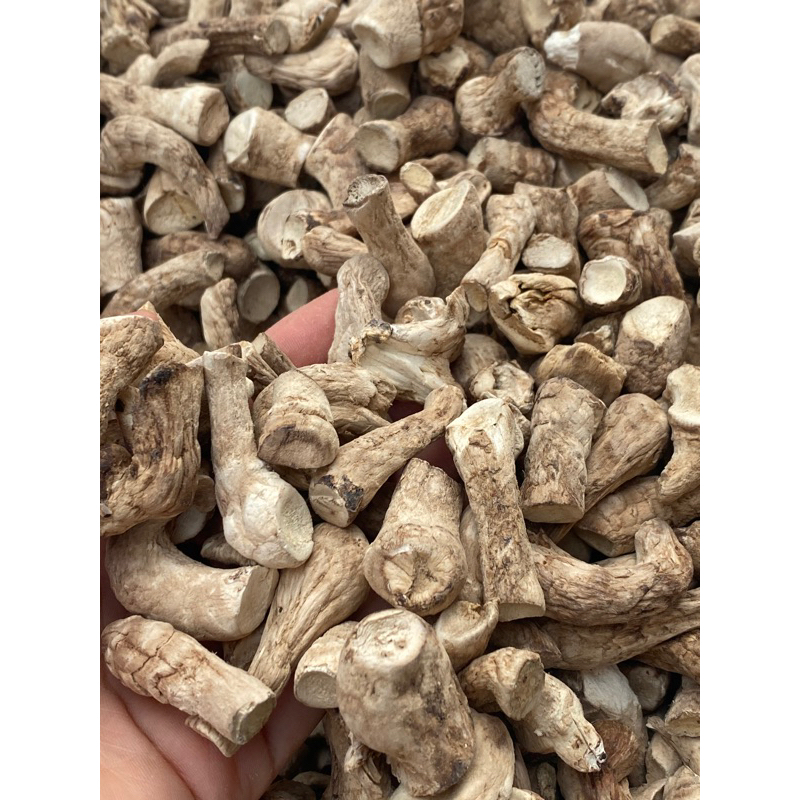 Chân Nấm Hương Loại 1