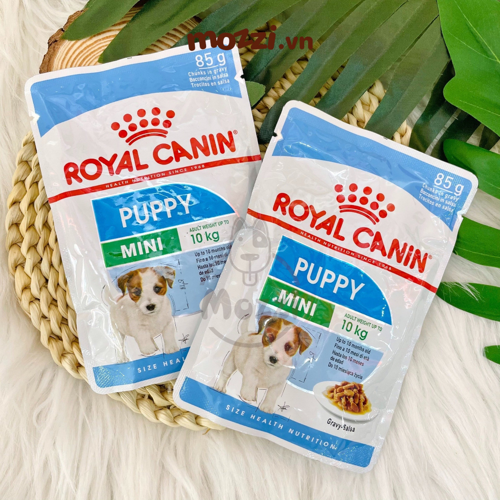 Royal Canin Pate cho chó Mini Puppy Adult - Poodle - Chihuahua