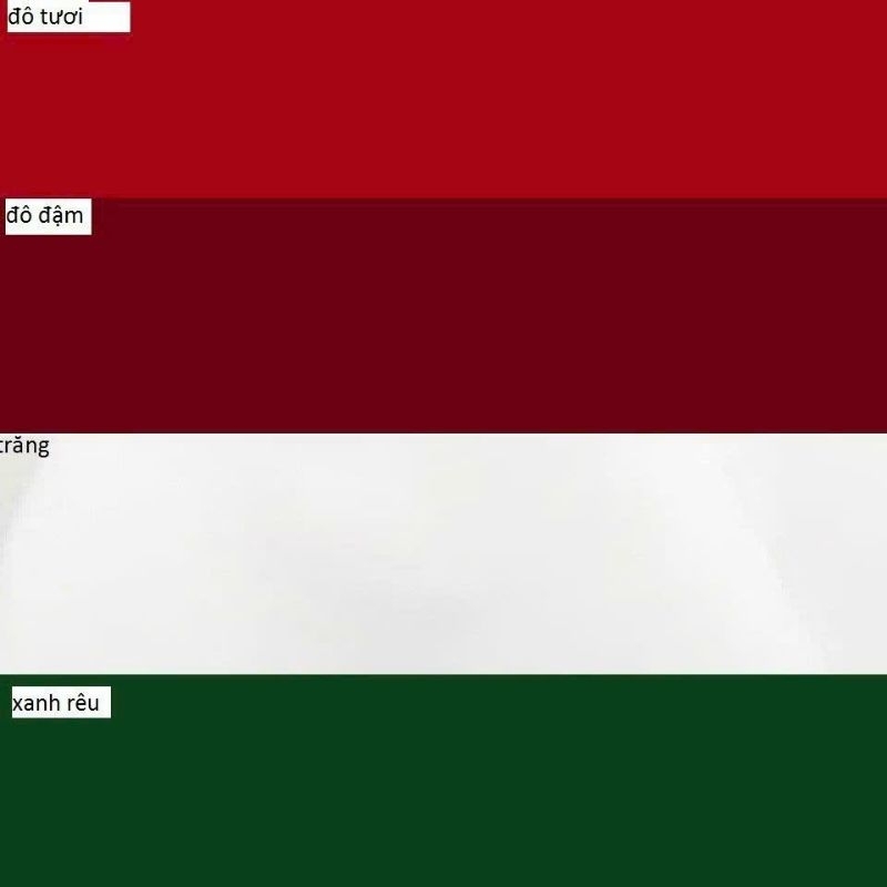 Quần tây móc chìm túi QD293