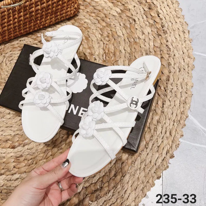 Xandan hoa trà fullbox