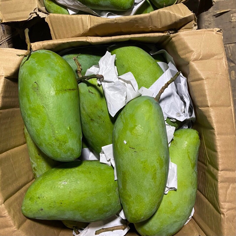 Xoài keo/xoài đài loan 1kg + tặng kèm muối chấm + Ship hoả tốc Hà Nội