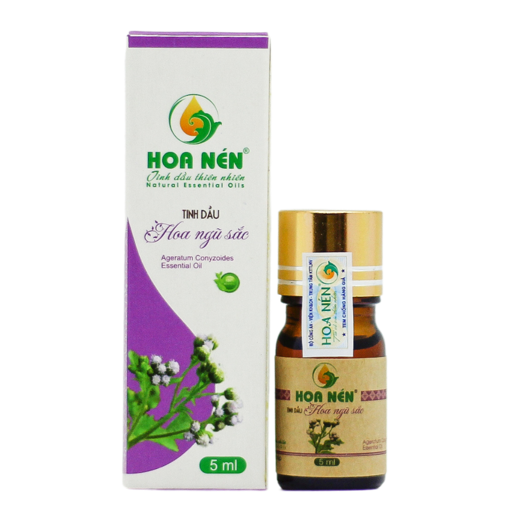 Tinh dầu Hoa Ngũ Sắc nguyên chất - Hoa Nén - Hỗ trợ cho người Viê m Xo ang, Viê m Mũi dị ứ ng - 5ml