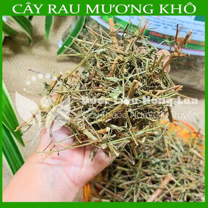 ✅ 500g Trà Cây Rau Mương khô sạch - Hàng Công Ty