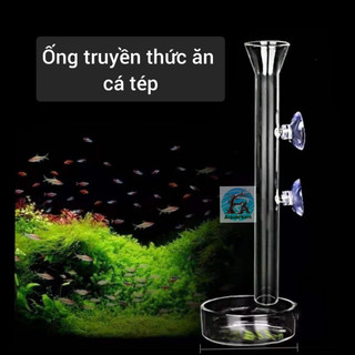 Ống truyền thức ăn cá tép thủy tinh và acrylic