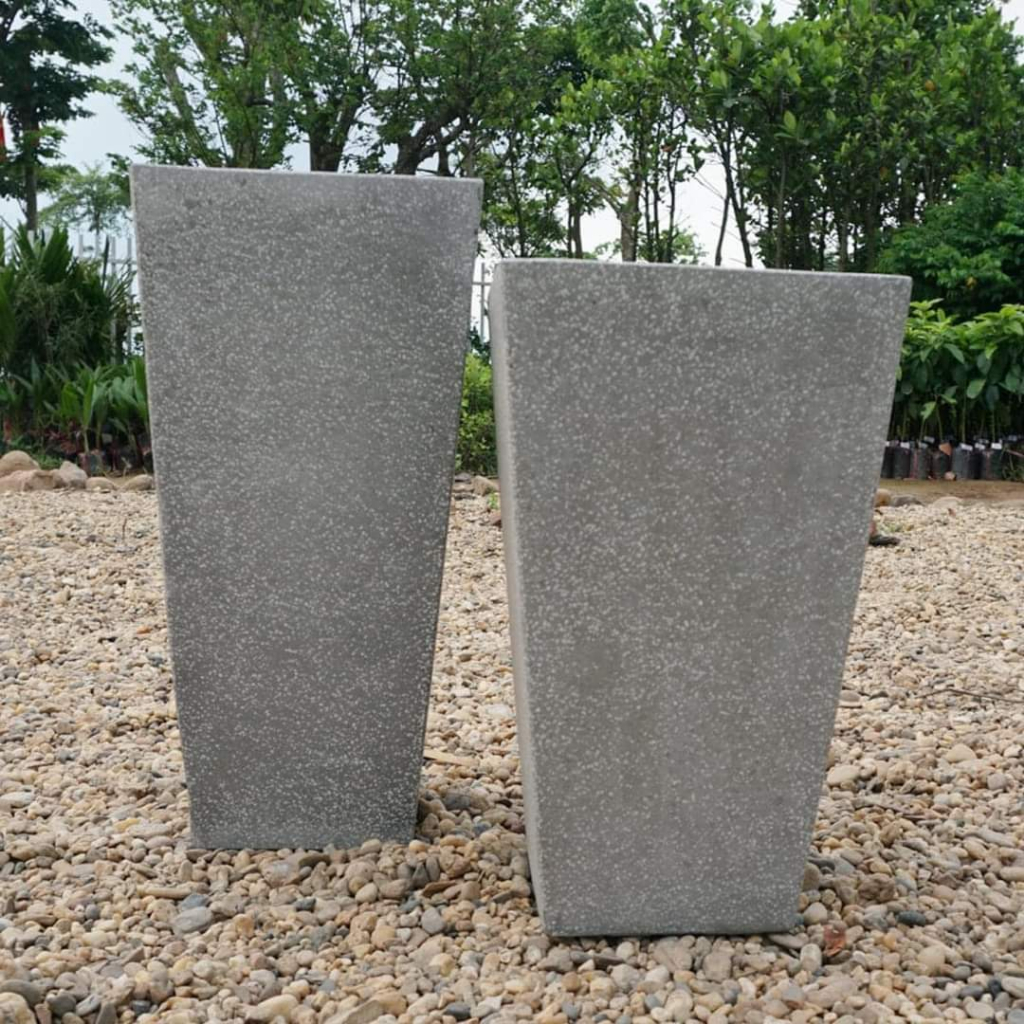 Chậu Đá Mài Vát cạnh ĐỒNG GIÁ CHỈ TỪ 150K