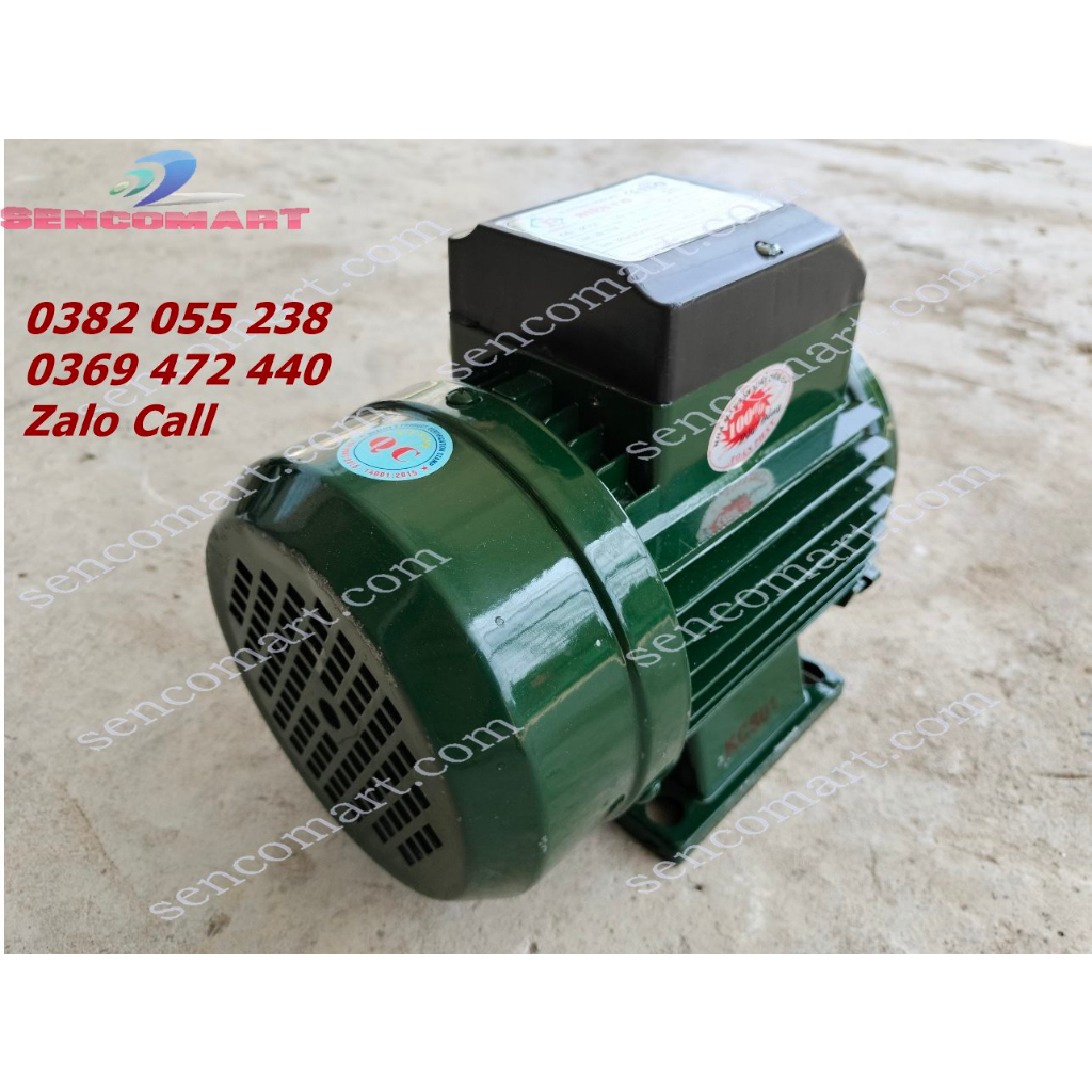Mô tơ chạy điện 220v 750w vòng quay 2900v/p, lõi đồng