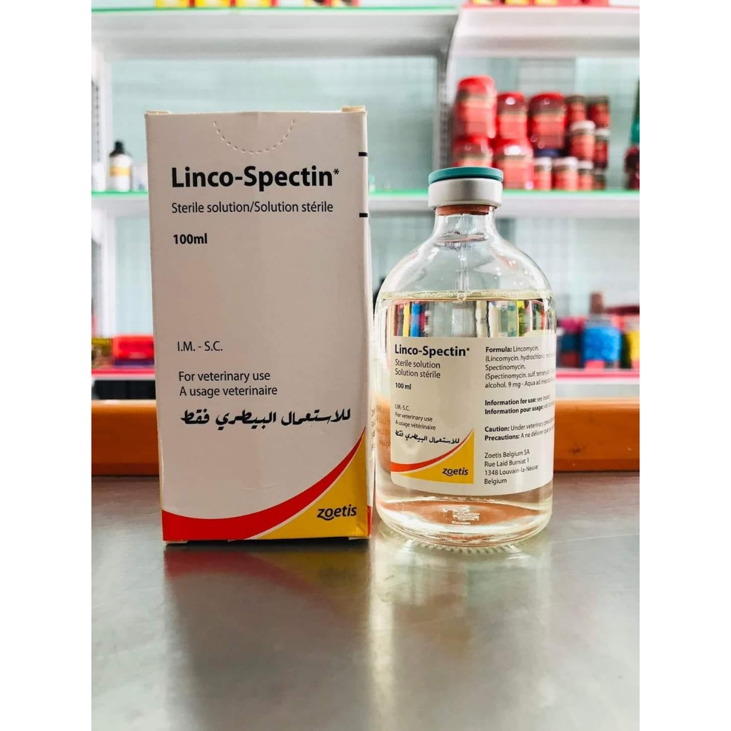 LINCO-SPECTIN 10ml - Dùng cho gà khò khè, sổ mũi, phân xanh, phân trắng - Chính hãng Zoetis