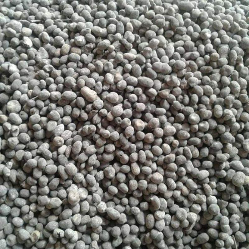 Phân Dê Bón Cây Cảnh Chungdnc - Phân Dê Đã Qua Xử Lý Bằng Công Nghê Nhật Chuyên Bón Phân Lan Làm Tăng Xanh Cây