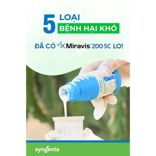  Thuốc trừ bệnh Cao cấp Miravis 200SC chai 100ml - Đặc trị Phấn trắng trên Hoa cây cảnh dưa bầu bí 