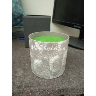 Chậu cắm hoa mini để bàn - chậu nhựa giả sỉ măng