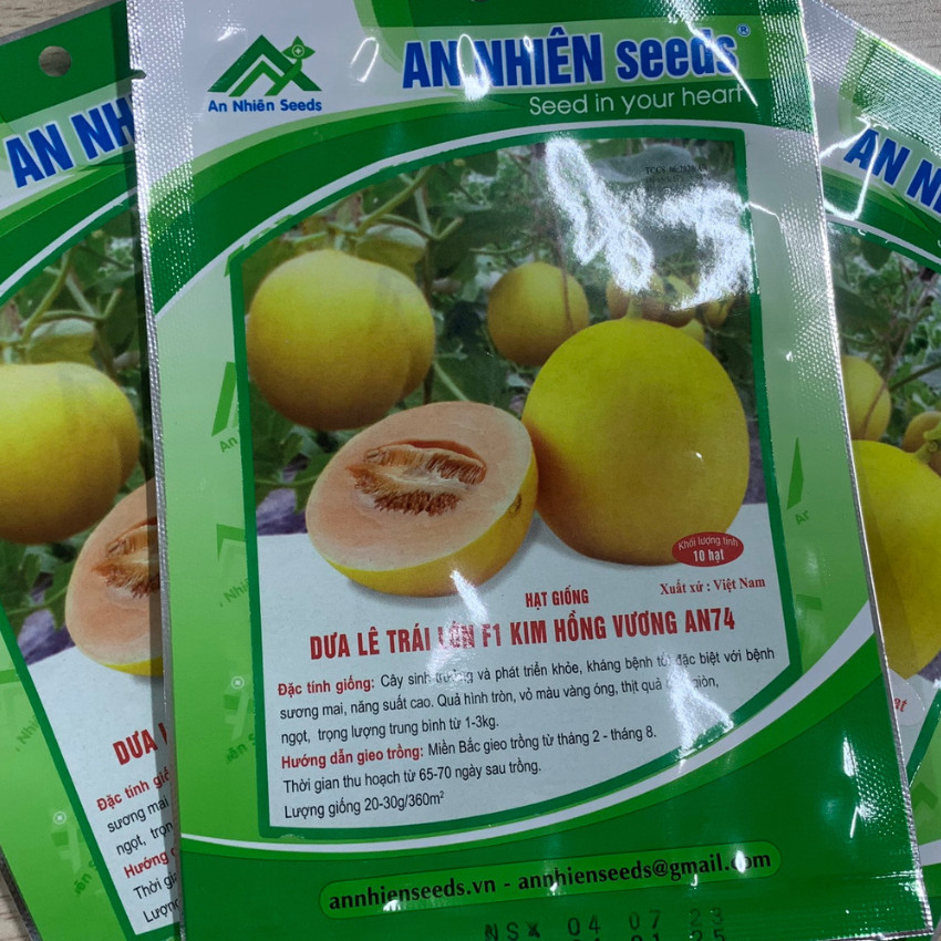 Hạt giống DƯA LÊ TRÁI LỚN F1 KIM HỒNG VƯƠNG dễ trồng, năng suất cao, gói 10 hạt, 20 hạt