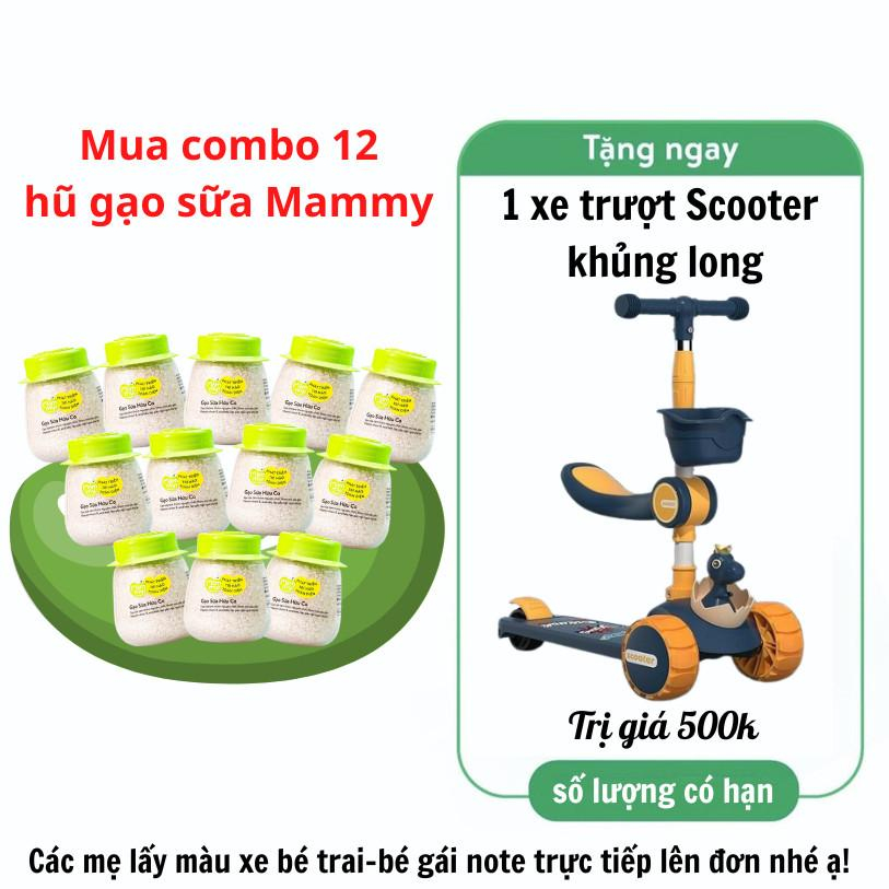 [Tặng xe trượt scooter khủng long] Combo 12 hũ gạo sữa hữu cơ Mămmy