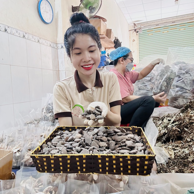 HẠT GẤC NHÀ TRỒNG ĐÃ RANG KĨ