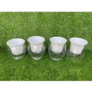 Chậu trồng cây thuỷ canh, thuỷ sinh bằng nhựa trong. cốc thuỷ canh có rọ siêu đẹp