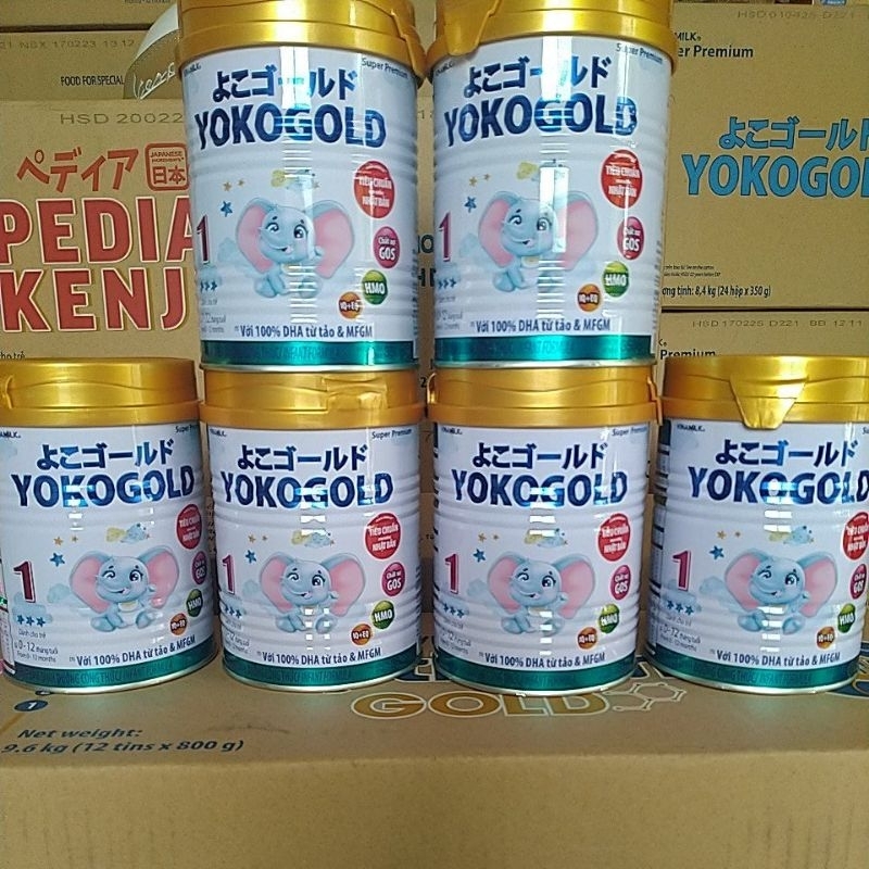 Combo 6 lon Yoko gold step 1 350gr. Date mới