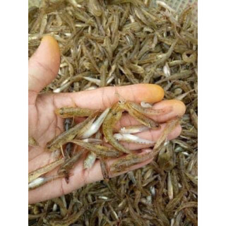 Cá bống Sông Trà (loại ngon đặc biệt) - 500g