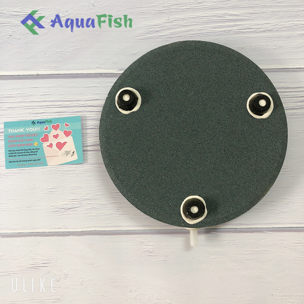 Đĩa Sủi Khí Oxy Đường Kính 20cm Dùng Cho Bể Cá Cảnh, Hồ Cá Ngoài Trời