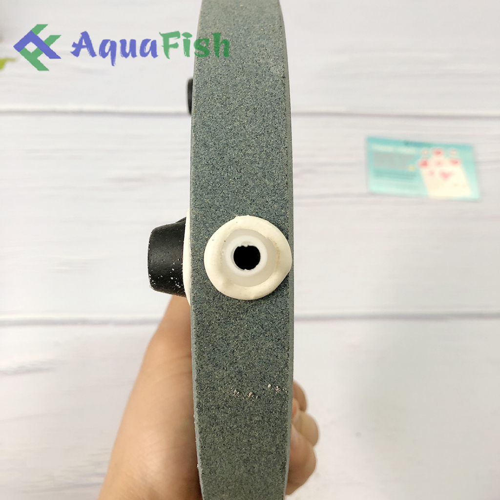 Đĩa Sủi Khí Oxy Đường Kính 20cm Dùng Cho Bể Cá Cảnh, Hồ Cá Ngoài Trời