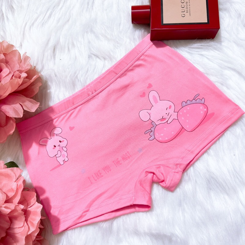 Quần chíp cho bé gái 10-42kg, quần lót cho bé, thun lạnh mọng mịn mát Q250