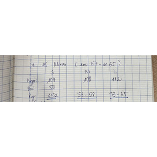 áo sơ mi nữ sát nách form rộng