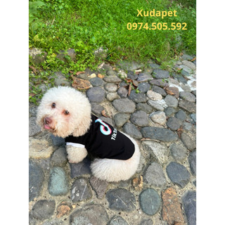 Áo tiktok cho thú cưng cực cute