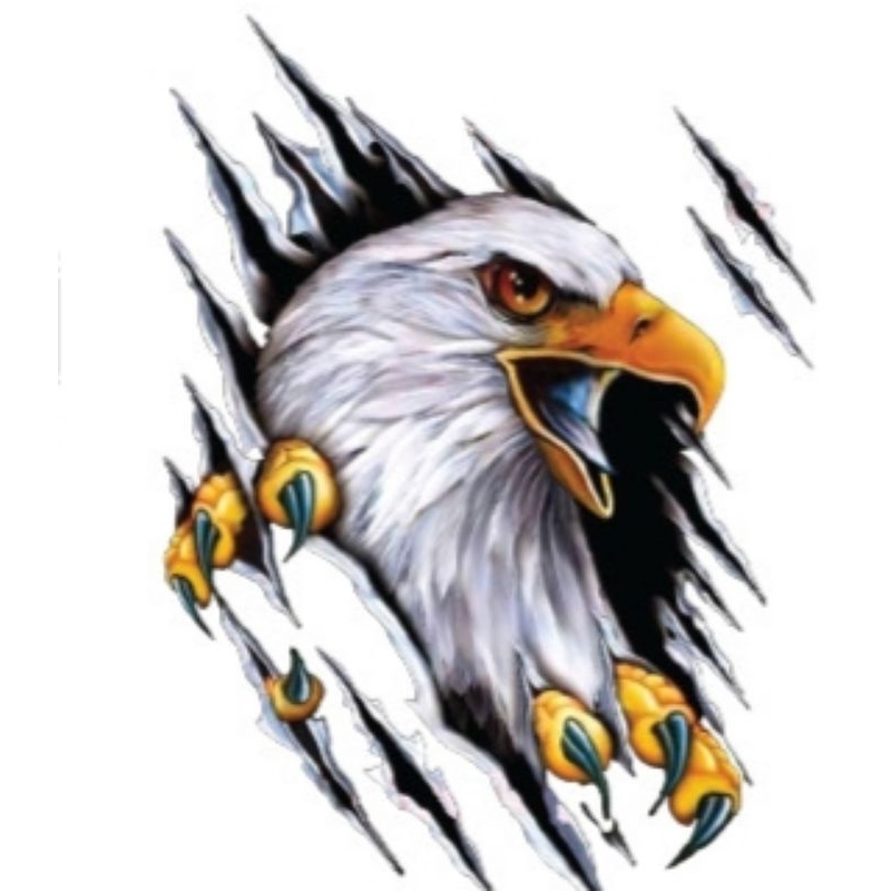 Hình ủi ép nhiệt, in áo. Mẫu Haley Davidson HD2 size15-28cm