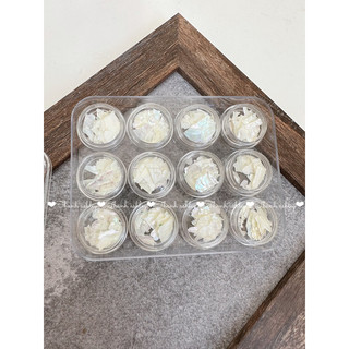 Set 12 hũ xà cừ trắng