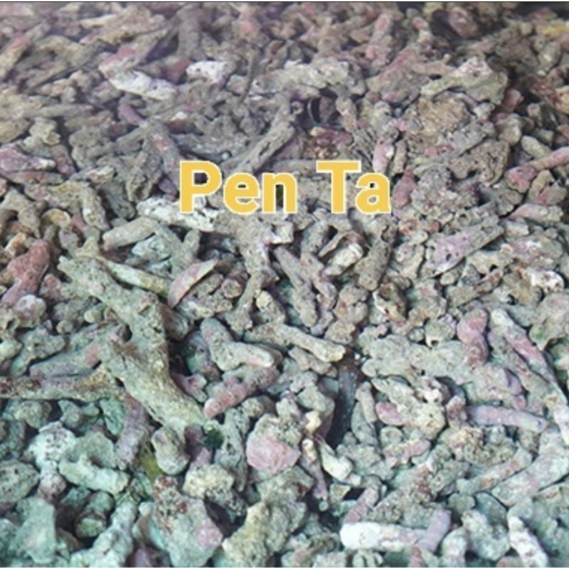 Đá sống vụn, San Hô Vụn có vi sinh. Khi mua 3kg được tặng kèm RÊU