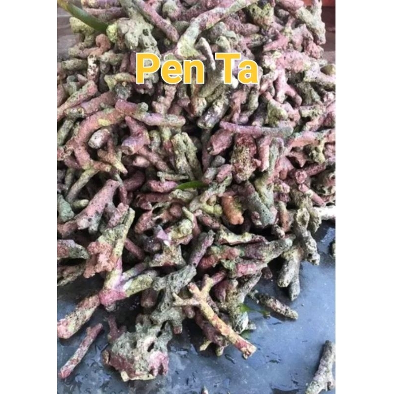 Đá sống vụn, San Hô Vụn có vi sinh. Khi mua 3kg được tặng kèm RÊU