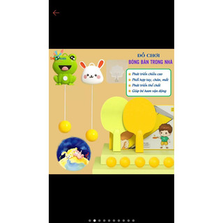 Đồ chơi Bóng bàn trong nhà