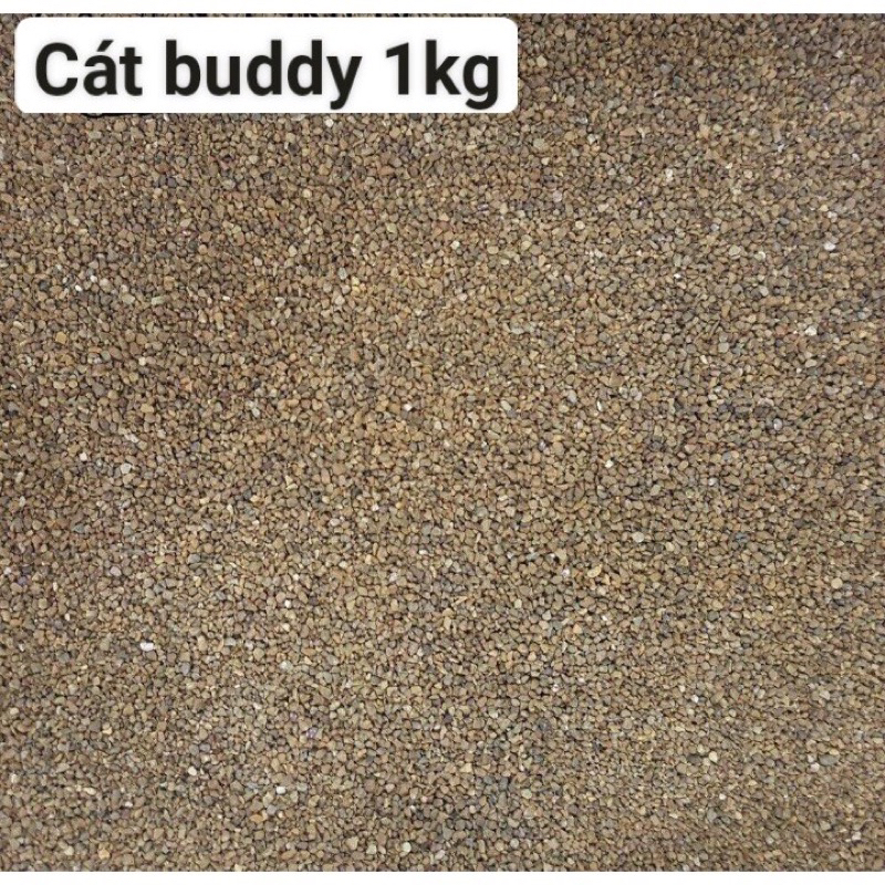 Cát lót Buddy nâu