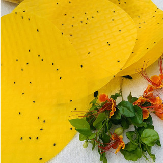 [1KG] BÁNH TRÁNG NƯỚNG VÀNG