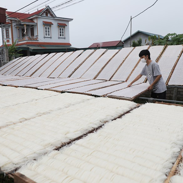 Mỳ chũ trắng túi 1kg đặc sản Bắc Giang thơm dẻo dai dành cho người giảm cân ăn kiêng