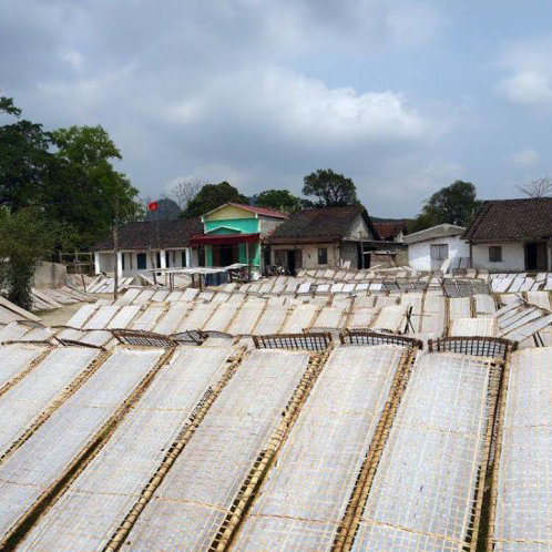 Mỳ chũ trắng túi 1kg đặc sản Bắc Giang thơm dẻo dai dành cho người giảm cân ăn kiêng