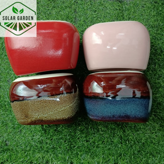 Chậu sứ HỎA BIẾN HÌNH ASA - Nhiều màu - Solar Garden