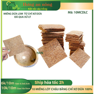 10 Miếng chỉ dừa lót đáy chậu làm bằng chỉ xơ dừa 100%