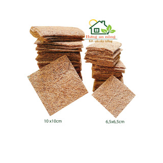 10 Miếng chỉ dừa, lót đáy chậu, bằng chỉ xơ dừa 100%